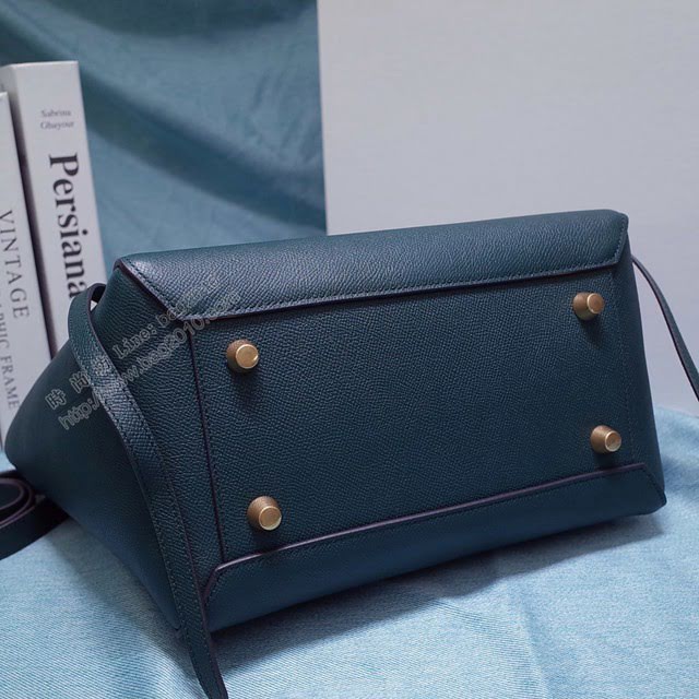 Celine女包 賽琳掌紋牛皮大號手提包 Celine belt bag鯰魚包 189103  slyd2043